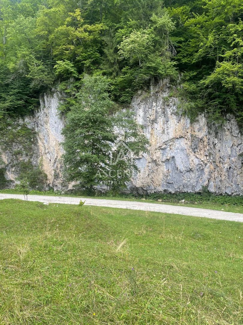 Teren pentru investiție turistică în Dâmbovicioara – Baranga | 4.500 mp | Front ~102 ml - Poză 16