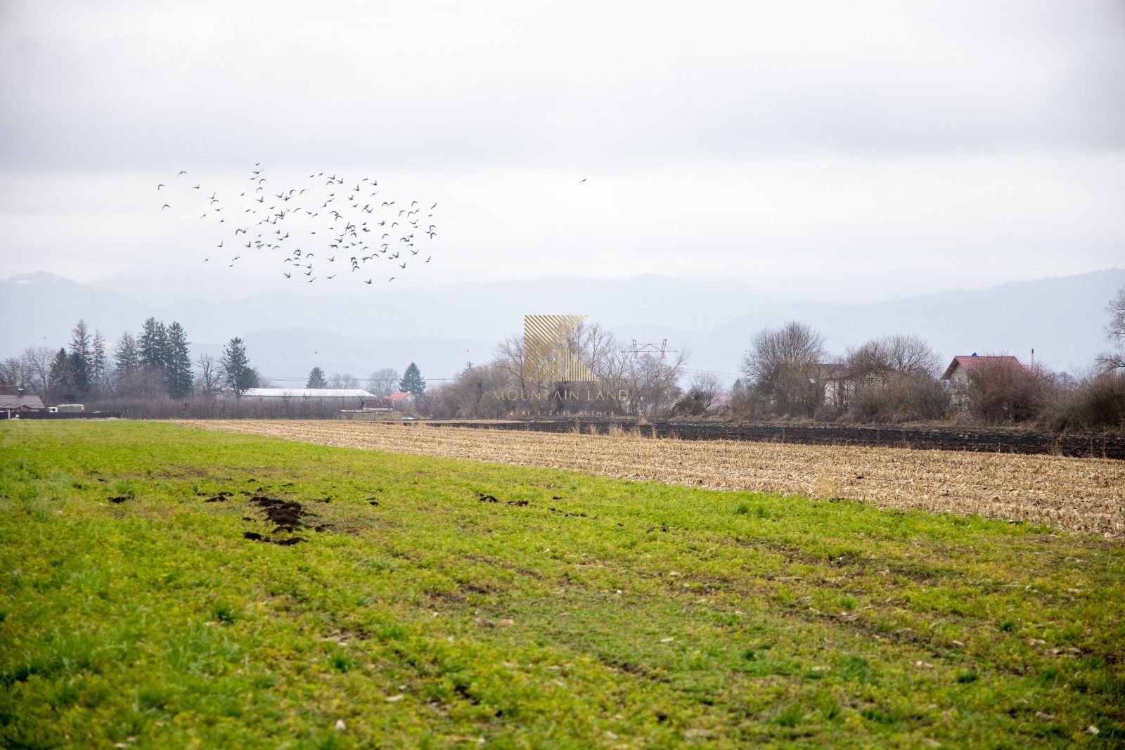 Loturi de teren, suprafete intre 467 si 535 mp, PUZ, Stupini, Albinelo - Poză 12
