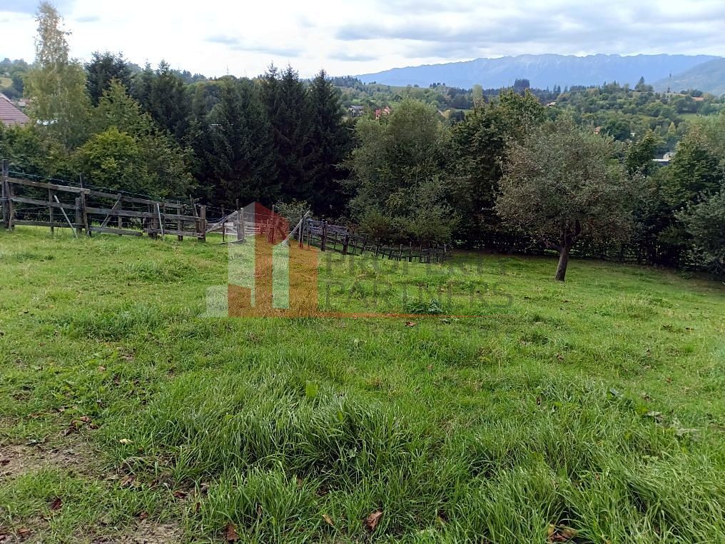 Teren intravilan 1.300 mp | Vedere Piatra Craiului | Bran Poarta - Poză 6