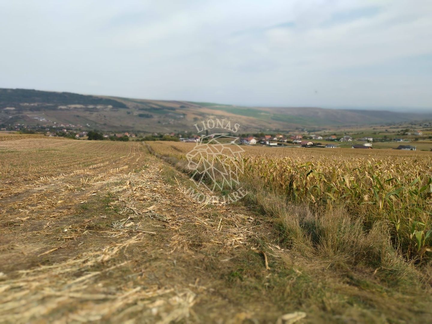 3 Parcele in Zona Fanate-oportunitate unica de investitie-Cluj-Napoca - Poză 3