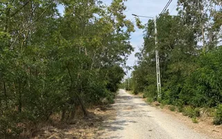 Teren intravilan Miersig, vedere la lac. 12,5 E/mp neg. Comision 0 - Poză 15