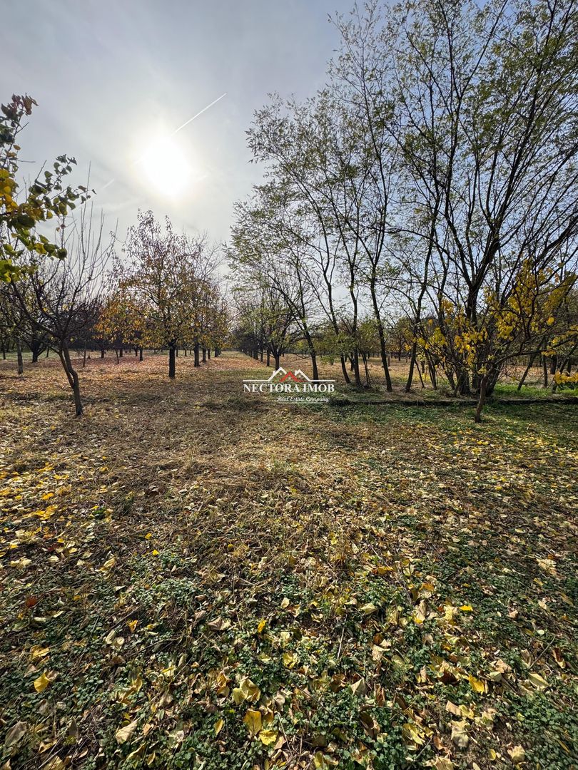 NECTORA IMOB-Teren cu livada matura+Anexa racordata la trifazic,9162mp - Poză 7