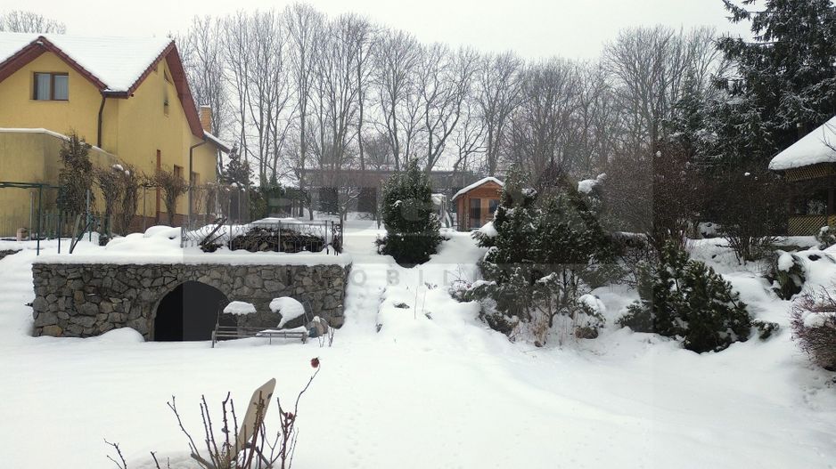 Proprietate individuala cu teren exceptional, strada G. V. Bibescu - Poză 9