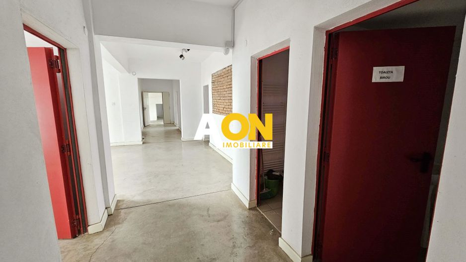 Spatiu industrial pentru productie sau depozitare, 1600 mp, Sebes - Poză 17