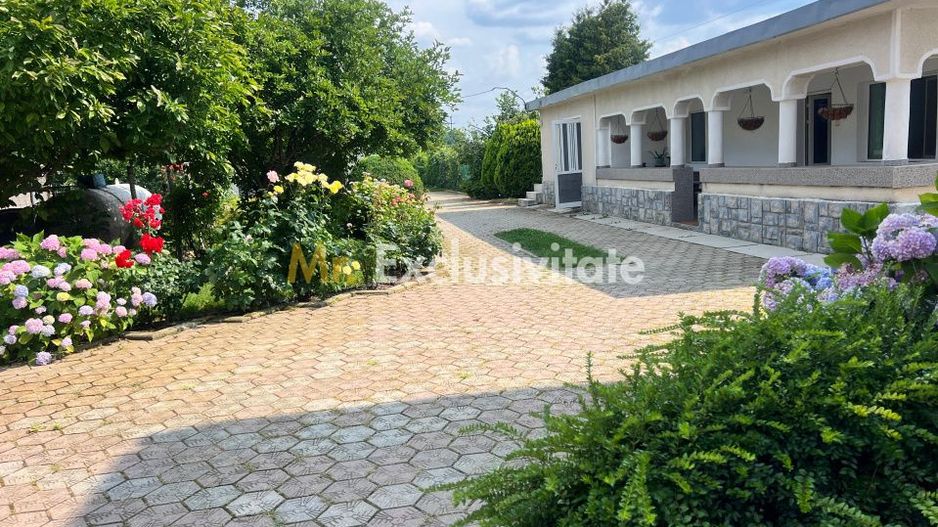 Casa visurilor cu 4000 mp livada roditoare si gradina Darmanesti-Arges - Poză 29