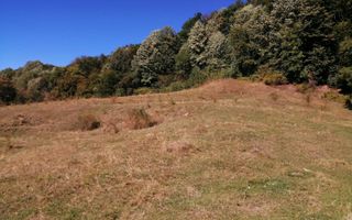 Teren Extravilan 20.000Mp I Stoenești -Vâlcea I Apă Curentă și Pădure - Poză 13