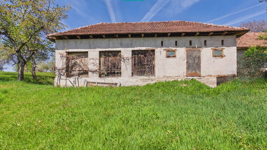 Proprietate rară cu 24.270 mp, în Măgulicea, Arad! - Poză 6