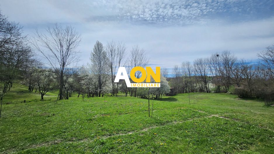 De vanzare casa 6 camere 8142 mp teren in Oarda de Sus - Poză 33