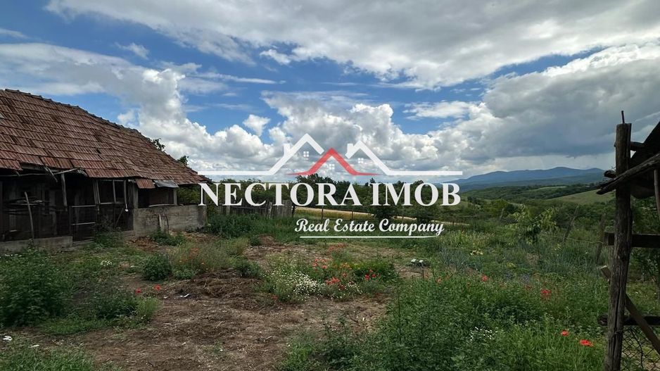 NECTORA IMOB-Casa 4 camere, 130 mp utili + 933 mp teren, Forau,Utilata - Poză 5