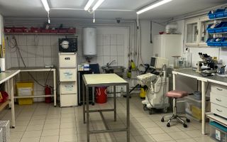 Imobil multifuncțional, 450 mp utili, teren 640 mp, Torontalului - Poză 4