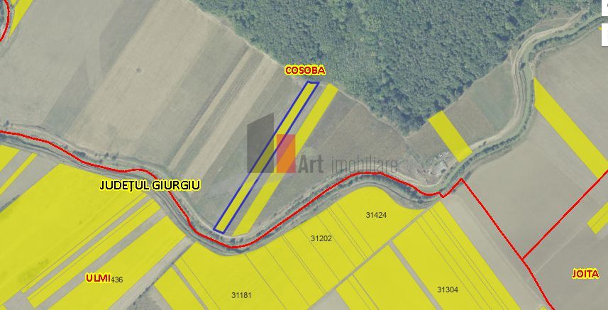 Teren Intravilan Padure Joita - Poză 3