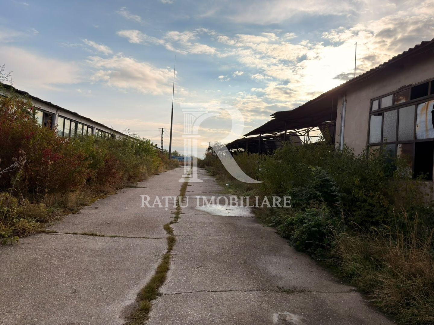Fermă Sărand | Bihor | 25.659 mp teren intravilan - Poză 8