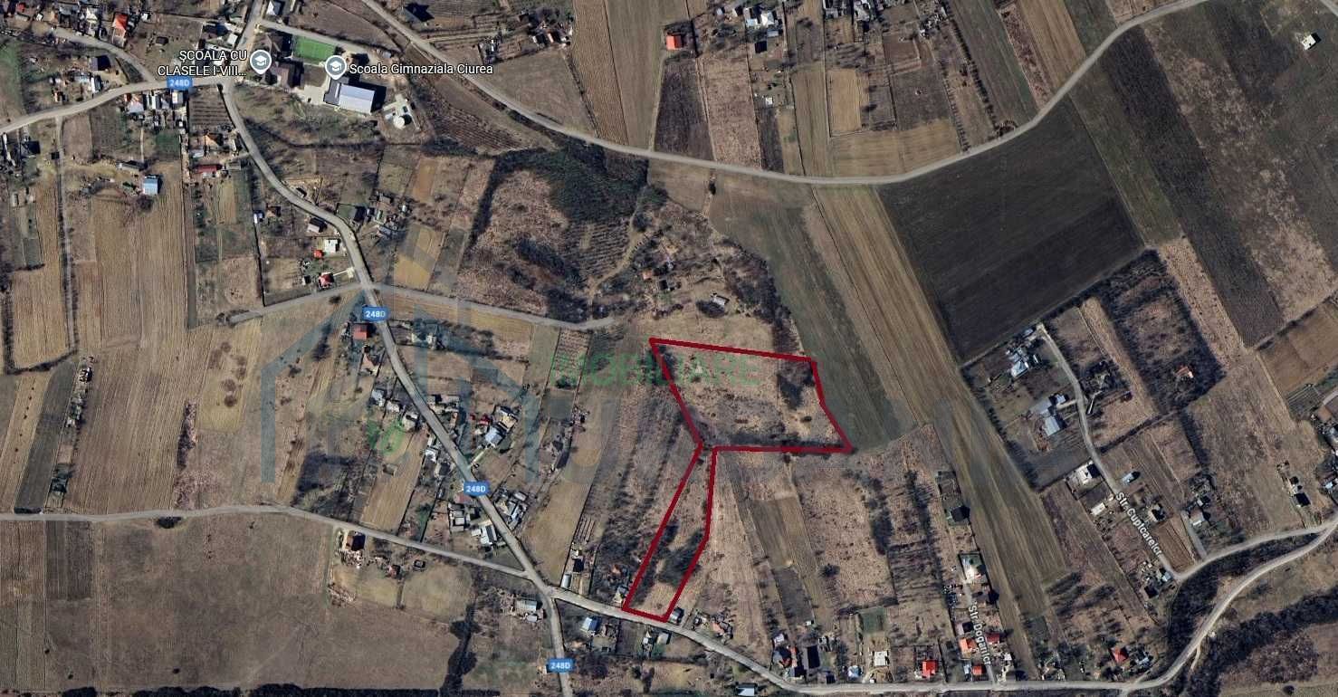 Teren intravilan 18.000 mp, Ciurea – Iași | 13 €/mp | 40 m front stradal la asfalt | Utilități - Poză 2