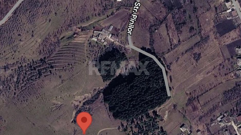26 Ari Sociteni Agricol Lânga Padure - Poză 3