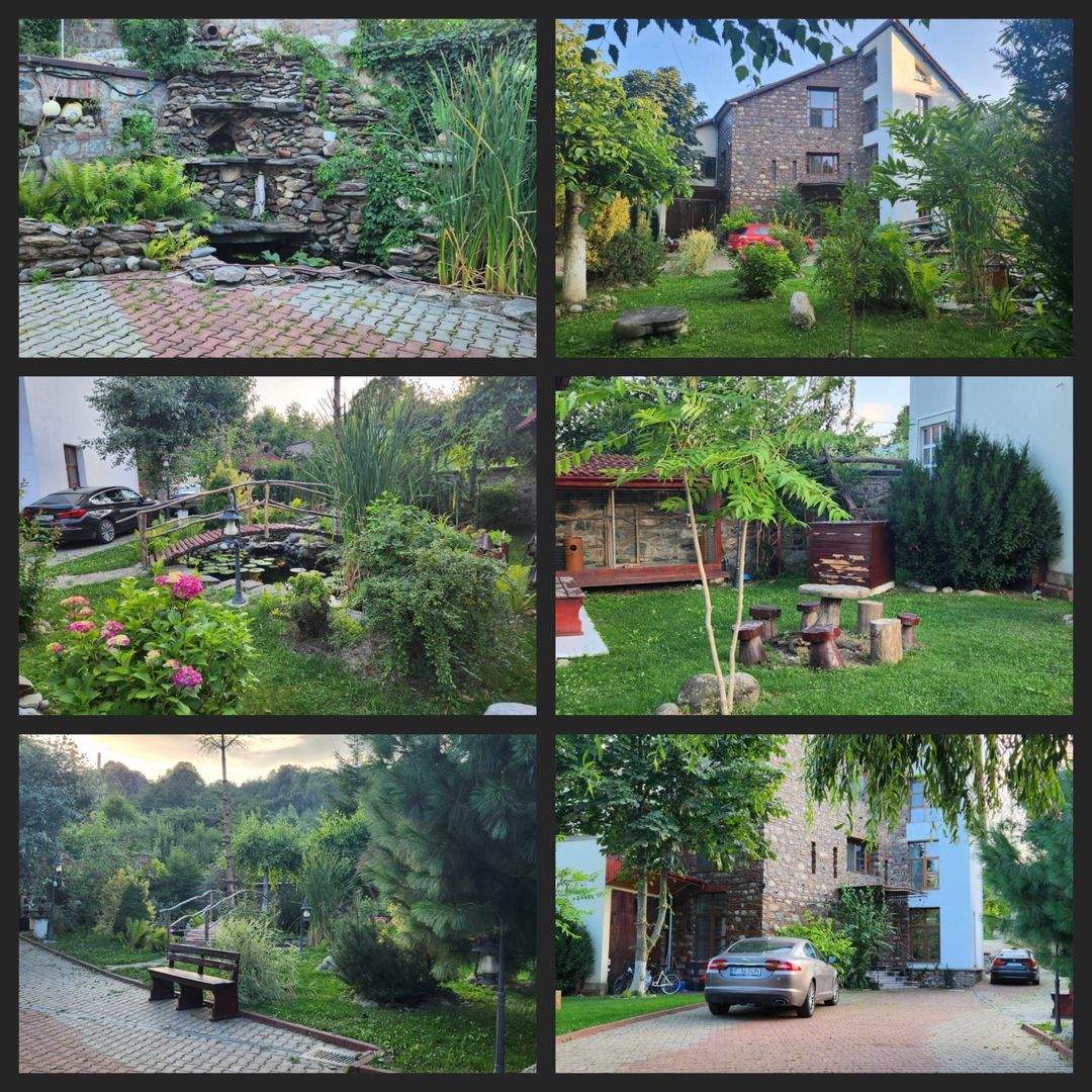 Vila Horezu Romanii de Jos - Poză 21