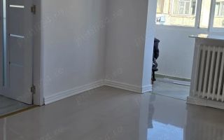 Apartament 2 camere/Zona Alexandru cel Bun Renovat - Poză 4