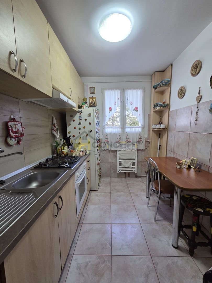 Apartament 3 camere Bld Camil Ressu 3 min metrou N.Grigorescu - Poză 6