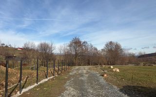 Cabana 5 Camere I 1520 mp teren I Lac de pești I Zona Tocile - Poză 8