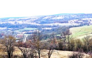 Terenuri extravilane de vânzare – Vizma & Crivobara, comuna Secaș, jud. Timiș - Poză 5