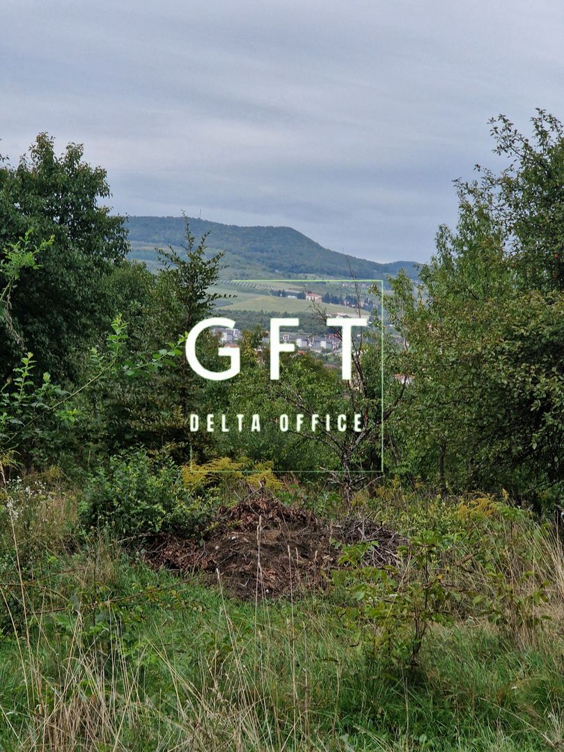 Teren Intravilan de vanzare Bistrita | 795 mp, priveliște panoramică - Poză 9