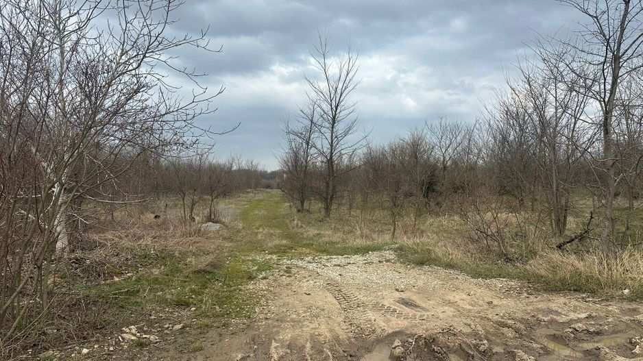 Teren intravilan cu PUZ aprobat 33.683 mp – Săftica/Balotești – deschidere DN1 - Poză 20