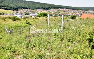 Teren 5.000 mp Corunca in spate la Dacia 40 euro mp - Poză 2