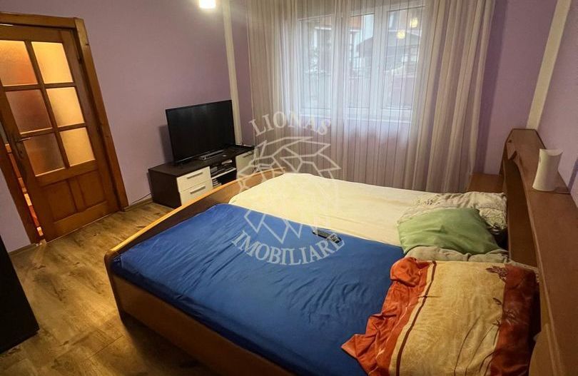 Apartament 111 mp-curte 144 mp-garaj-Zona Podul Jelnei - Poză 3