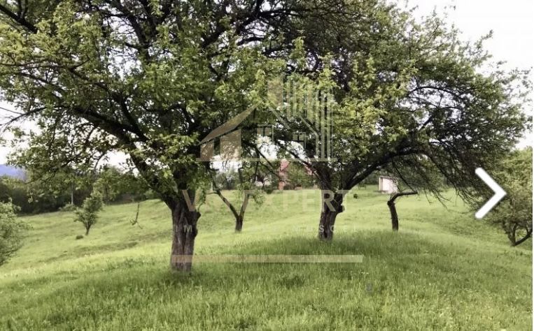 TEREN 2530 MP, INTRAVILAN, CAMPULUNG, 37000 EURO - Poză 5