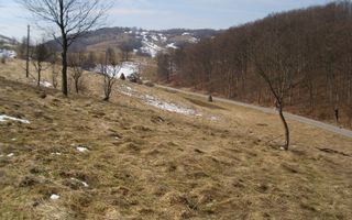 Teren intravilan Rosia, 12 000 mp, cu proiect aprobat. Comision 0. - Poză 11