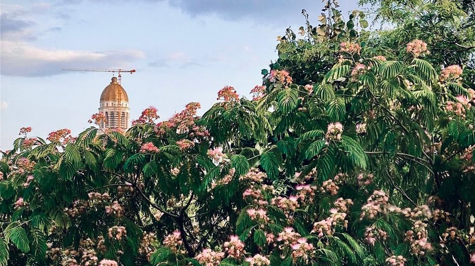 Apartament 3 camere + 1 birou,  Cotroceni, curte si gradina, metrou Eroilor - Poză 25