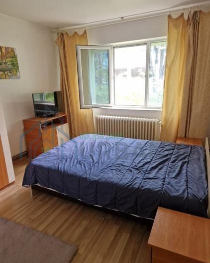 Apartament 2 camere, Podu Roș, vedere Palas Campus, loc parcare, izolat termic - Poză 4