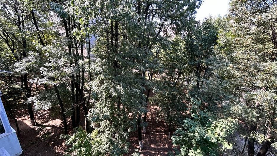 Apartament 2 camere Giurgiului | Scoala 103 - Poză 10