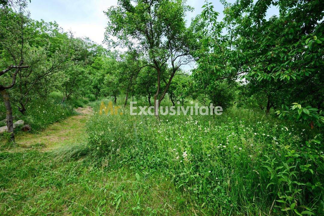 Casa cu teren generos - 4696 mp Apa Sarata - Campulung !! - Poză 12