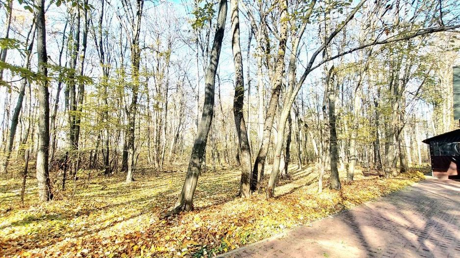 50 ari de Teren forestier si de recreere in Codri!! - Poză 1