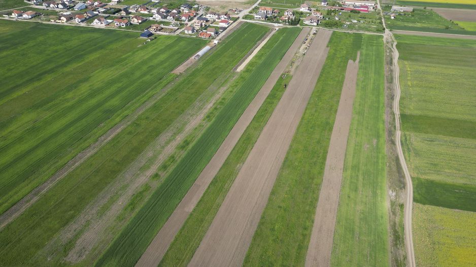 Loc de casa de 504 mp în Livada - Poză 9