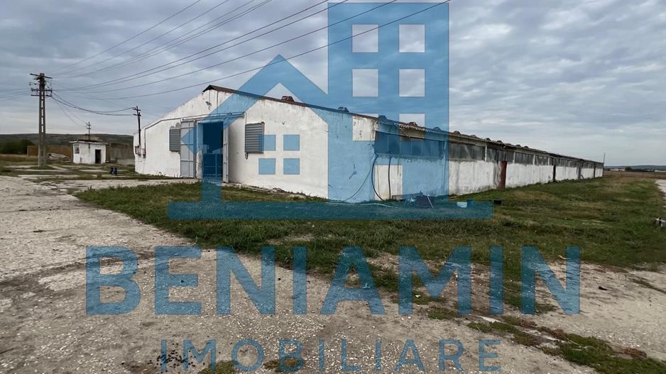 60.000mp Ferma de bovine, păsări, porcine, culturi agricole Diverse - Poză 2