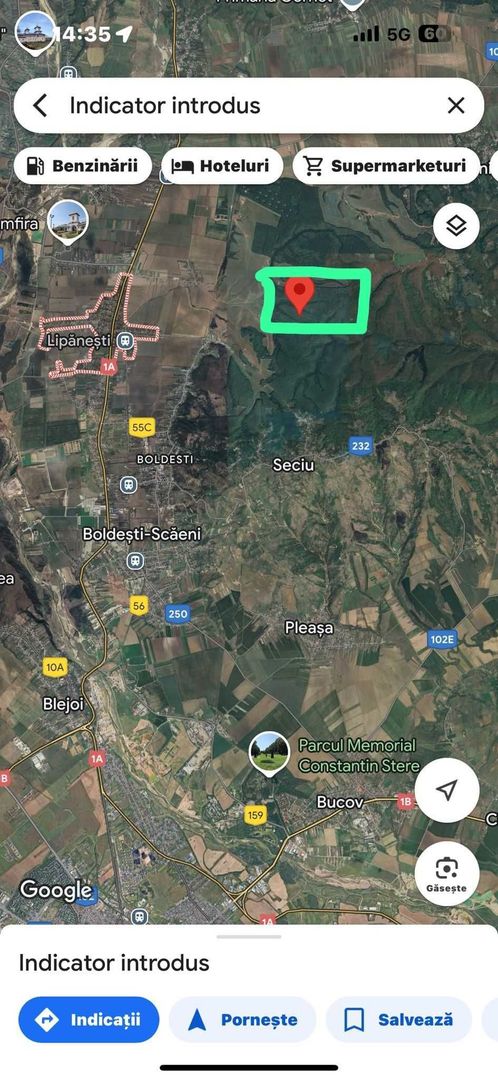 Padure stejar Prahova L328 - Poză 2