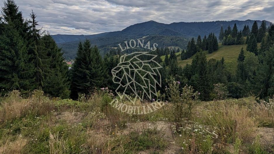 Parcele teren intravilan cu utilitati-panoramic-Colibita - Poză 4