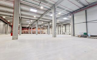 Spatiu industrial flexibil (Depozitare/Productie) - Chitila - Nord - Poză 3