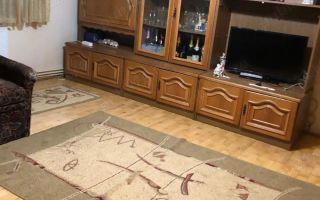 BRASADAS vinde ap 2 cam la PARTER in Micro 16. - Poză 1