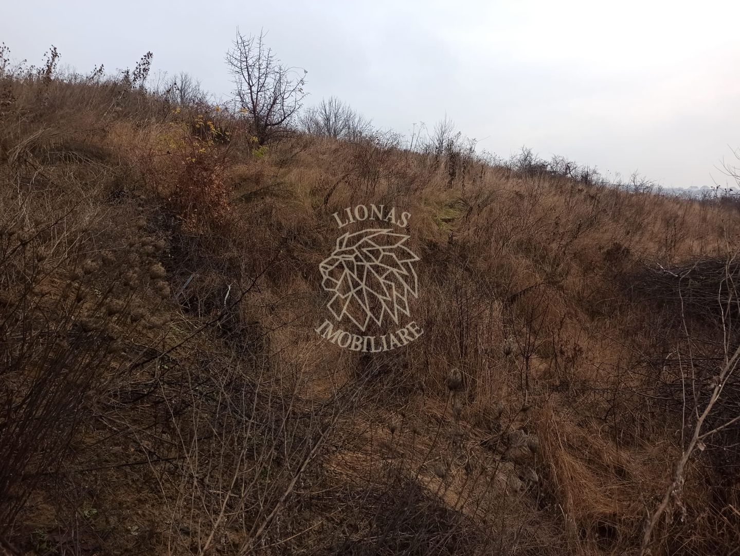 Teren intravilan 600 mp-ideal casa-Valea Sigmirului - Poză 3