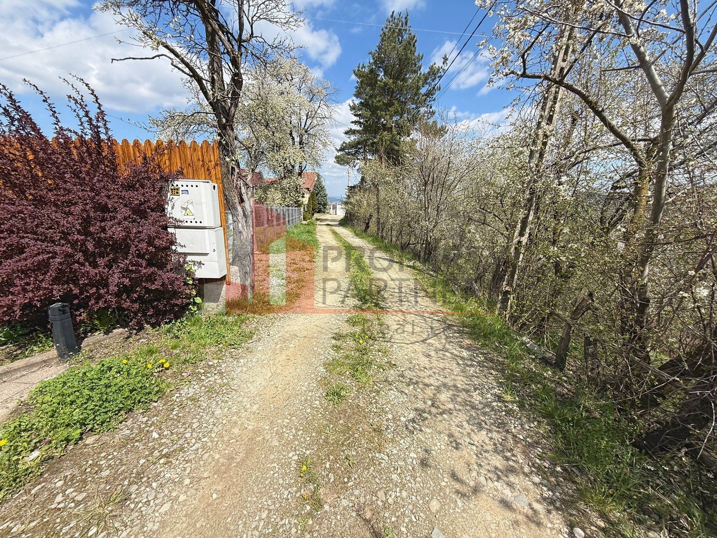 Casă 5 dormitoare + casă de oaspeți, priveliște Piatra Craiului, Sohodol-Bran - Poză 41