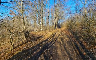 Teren intravilan 2.000 mp – Seciu, 2 deschideri, Priveliște panoramica - Poză 16