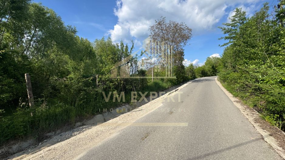 TEREN INTRAVILAN 2943 MP CAMPULUNG - Poză 3