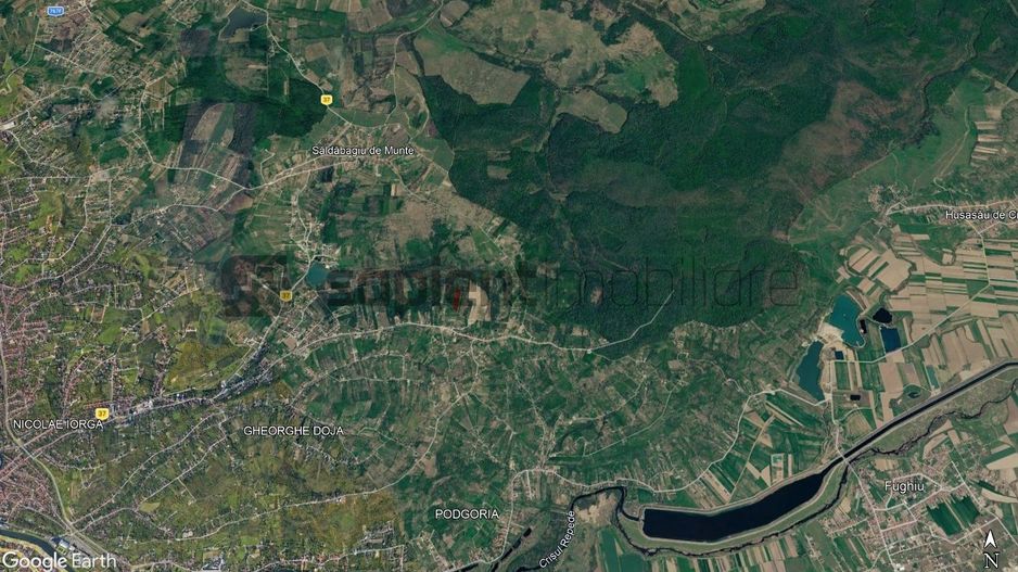 Sapient | Teren intravilan în Săldăbagiu de Munte 4.316 mp - Poză 5