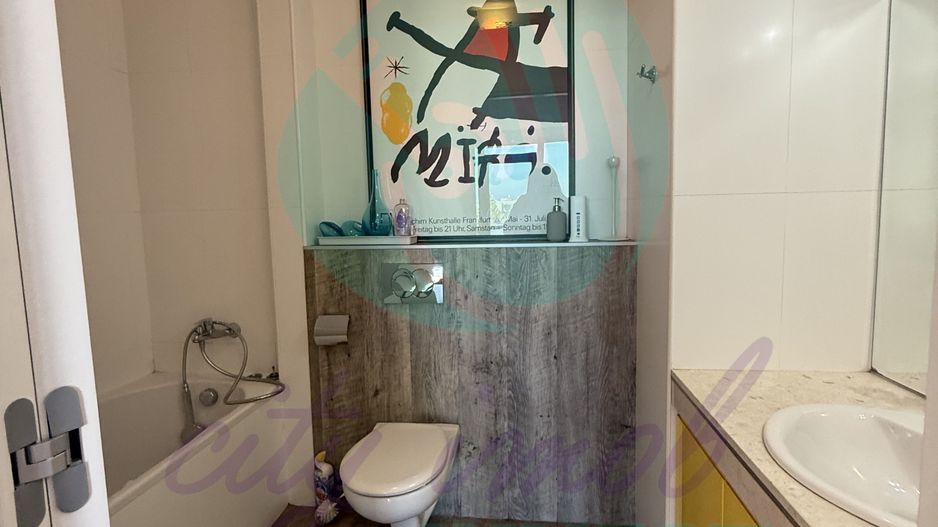 3 CAMERE in DELEA VECHE 24 - Poză 9