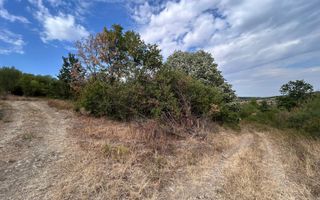 Sapient | Teren intravilan în Săldăbagiu de Munte 4.316 mp - Poză 2