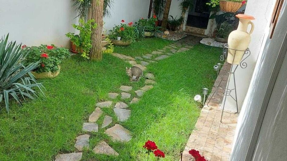 COTROCENI - Cuibușorul de nebunii al pictorului Zamfir DUMITRESCU - Poză 7