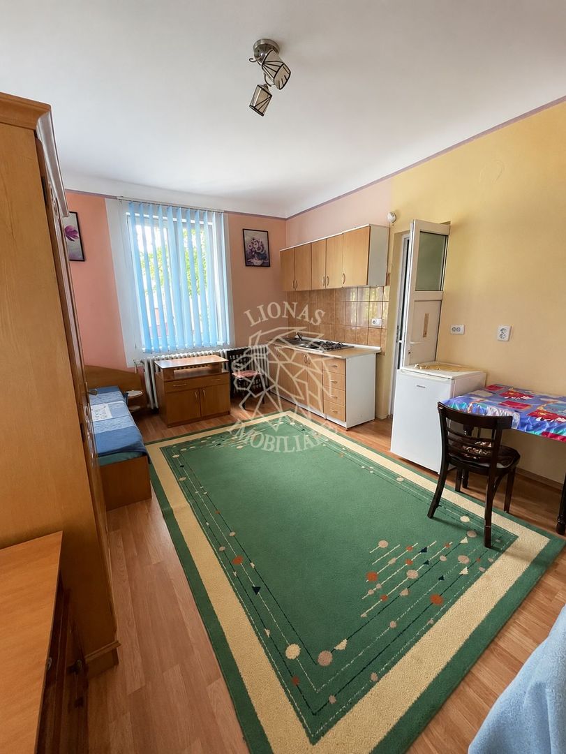 Casa 4 camere, garaj, curte comuna- investitie turism- Ultracentral - Poză 5