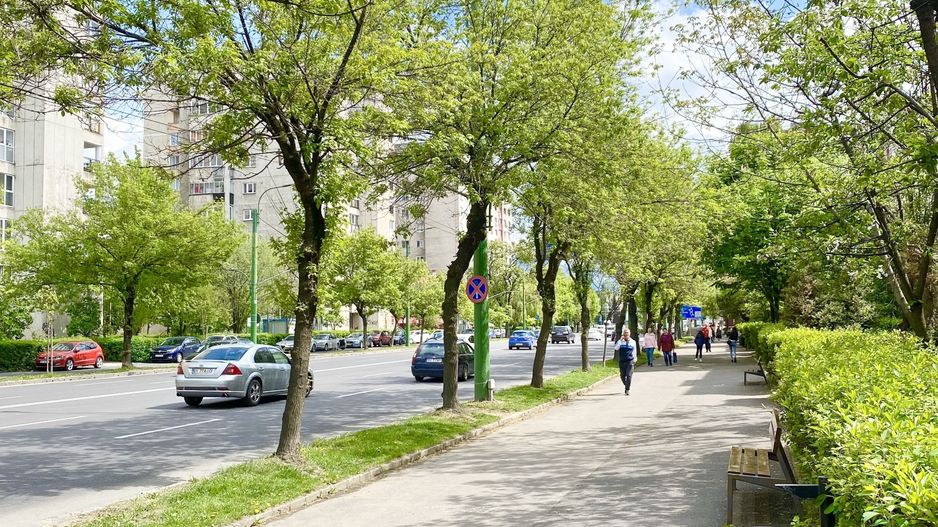 Spațiu comercial, zona ITC-Gemenii - Poză 2